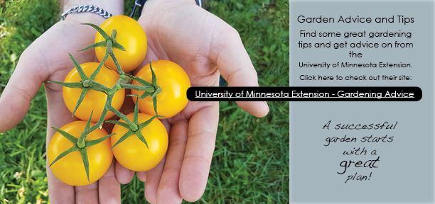 Community Garden Plots | South St. Paul, MN