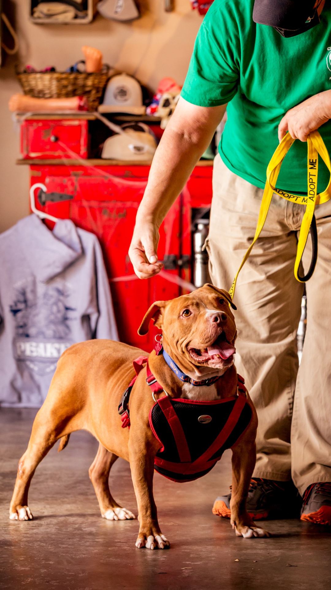 Snout & About Program | Chesapeake, VA
