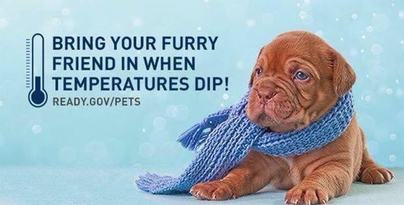 Winter Weather | Chesapeake, VA