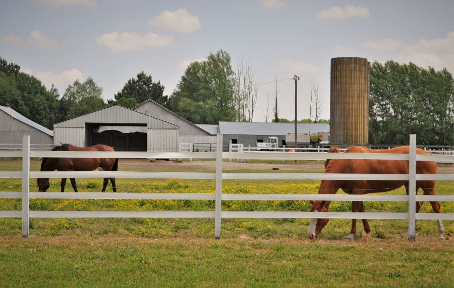 Proposed Text Amendments for Agricultural / Rural Overlay Divisions of Land