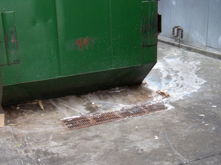 NPDES Stormwater Program | Newark, DE