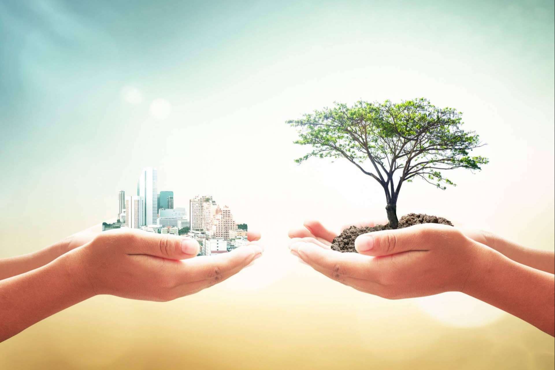 The Rise of B Corporations in the U.S.; Financing and Sustainable Benefits