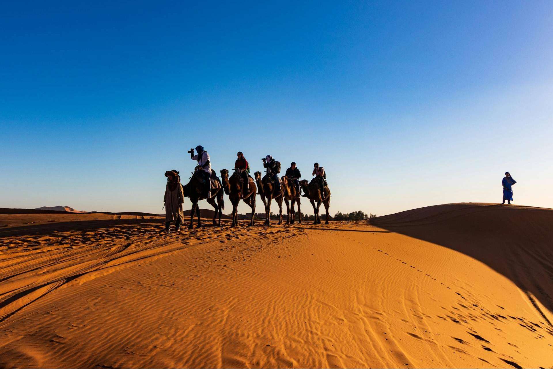 Experience the Magic of Morocco with the Best Desert Tours and Day Trips from Marrakech